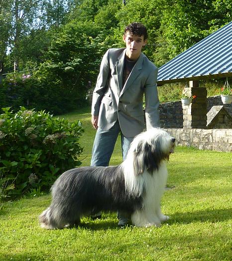 no-nonsense's Harismatic