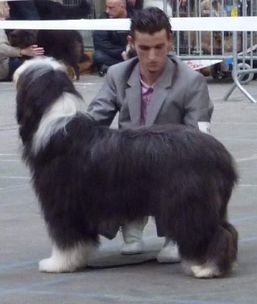 Festival de Letavia
