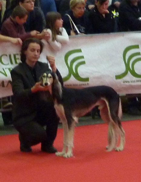 SAINT-BRIEUC 08/05/2011