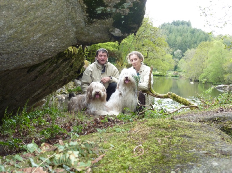Le printemps, Goldy et Holly