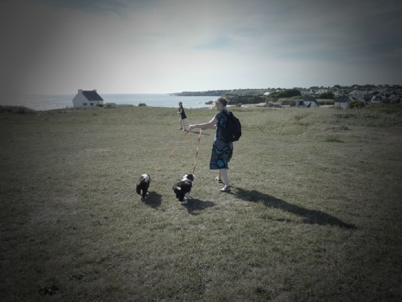 Faye et Farine en balade sur la côte !