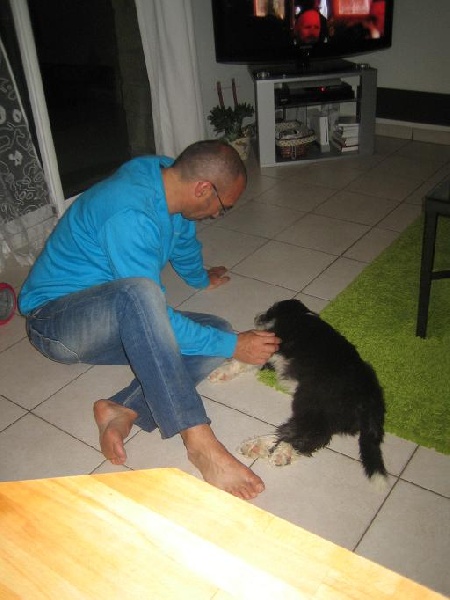 Les chiots en famille !